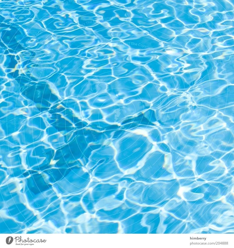 cool pool Lifestyle schön Wellness Kur Spa Sportstätten Schwimmbad Sommer Wetter Schönes Wetter Erfrischung Chlor Wasser Ferien & Urlaub & Reisen Farbfoto