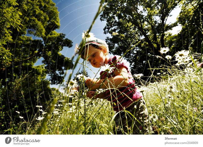 GARTEN Kind Kleinkind 1 Mensch 1-3 Jahre Natur Sommer Schönes Wetter Blume Gras Garten Park beobachten berühren Blühend Denken Duft entdecken Glück