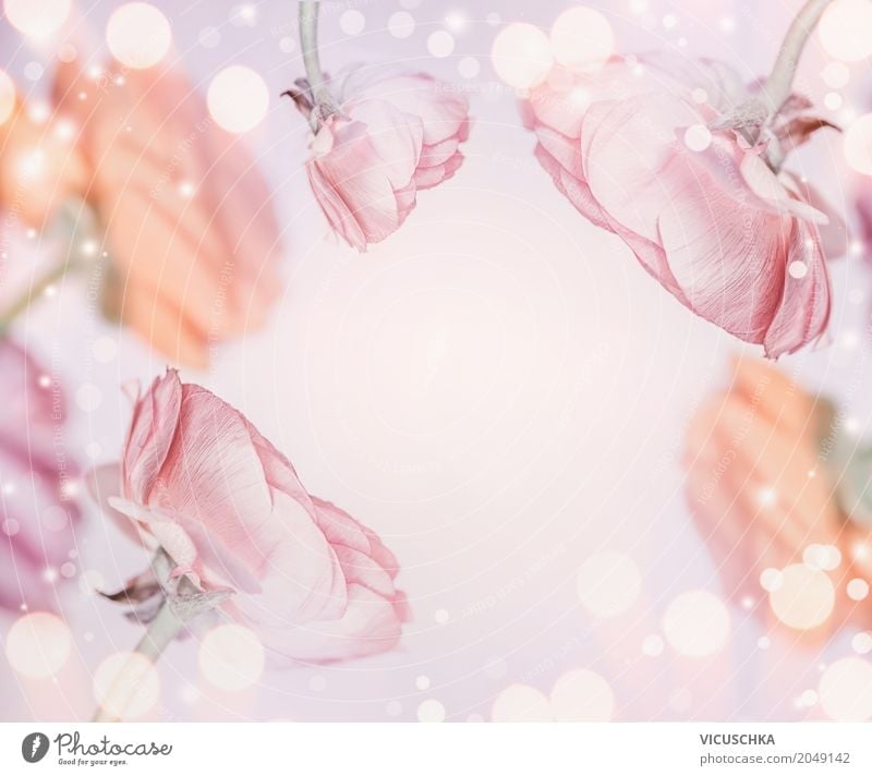 Pastell rosa Blumen Hintergrund Stil Design Feste & Feiern Valentinstag Muttertag Hochzeit Geburtstag Natur Pflanze Blüte Dekoration & Verzierung Blumenstrauß