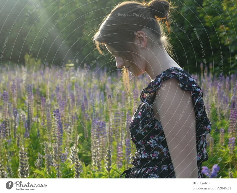 Sonne macht Glücklich Mensch feminin Jugendliche 1 Natur Sonnenlicht Sommer Schönes Wetter Blume Wildpflanze Wiese Kleid Haare & Frisuren brünett Pony Blühend