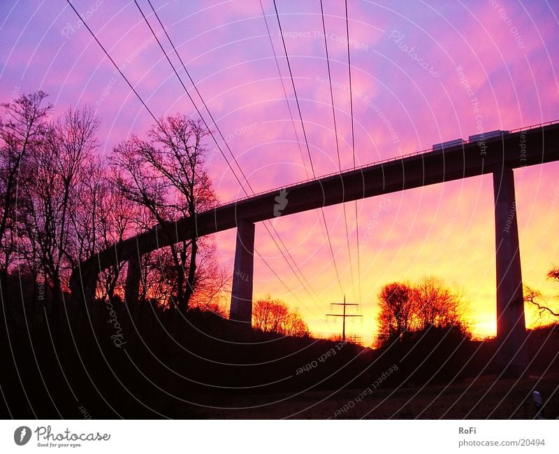 unter der Brücke Sonnenaufgang Baum Pause Kabel Farbe Morgen