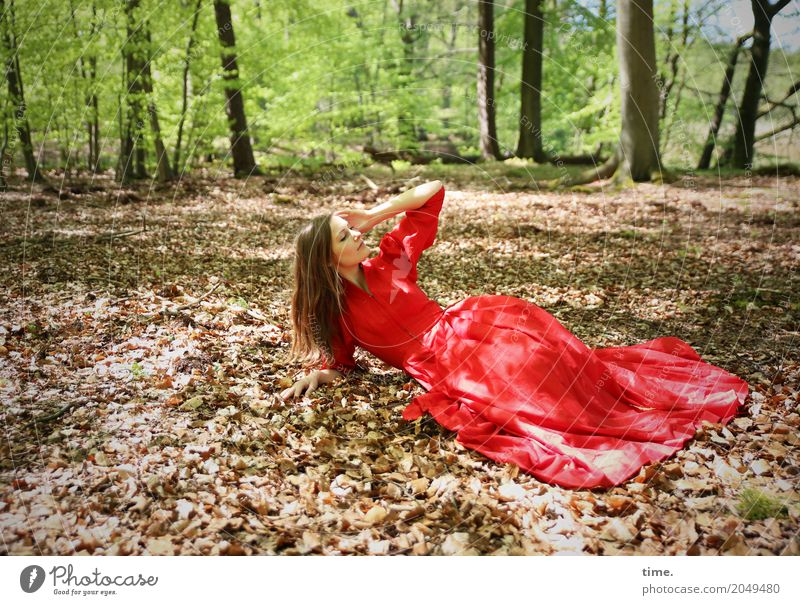 . feminin Frau Erwachsene 1 Mensch Schönes Wetter Baum Blatt Laubwald Wald Kleid brünett langhaarig beobachten festhalten liegen Blick schön Lebensfreude