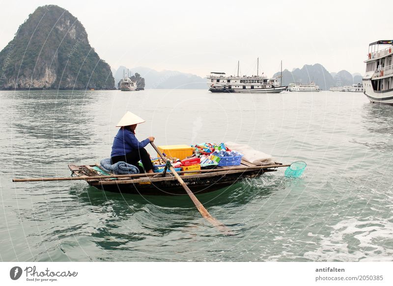 Risiko | Bootsverkauf in Vietnam Lebensmittel Getränk Erfrischungsgetränk kaufen Ferien & Urlaub & Reisen Tourismus Abenteuer Sightseeing Kreuzfahrt
