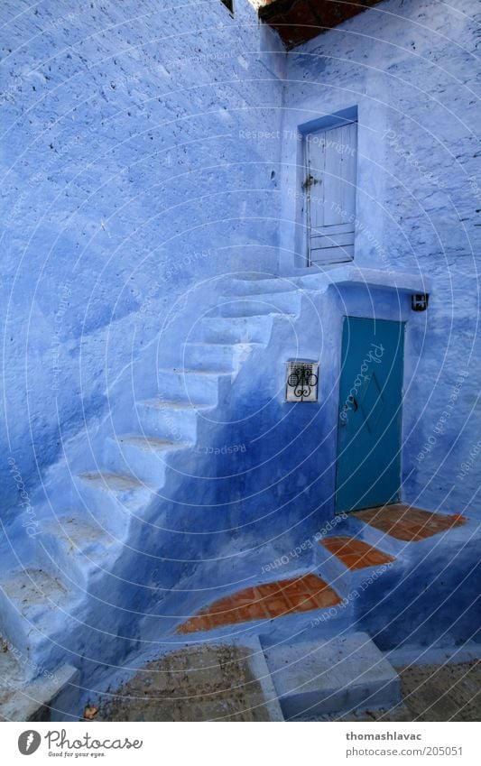 Blaues Haus Chechaouen Marokko Afrika Dorf Altstadt Gebäude Mauer Wand Treppe Fassade Tür Ferien & Urlaub & Reisen blau Gefühle Farbfoto Außenaufnahme