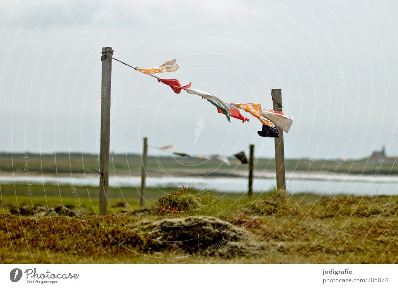 Island Umwelt Natur Landschaft Wasser Himmel Wetter Wind Gras Seeufer Bewegung hängen mehrfarbig Seil Holzpfahl Textilien Stoff Farbfoto Außenaufnahme