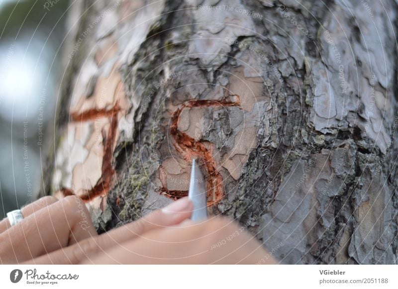 initials Messer Lifestyle Hand 1 Mensch Umwelt Natur Pflanze Baum Kiefer Ring Holz Metall Stahl Initialien Buchstaben berühren schreiben außergewöhnlich eckig