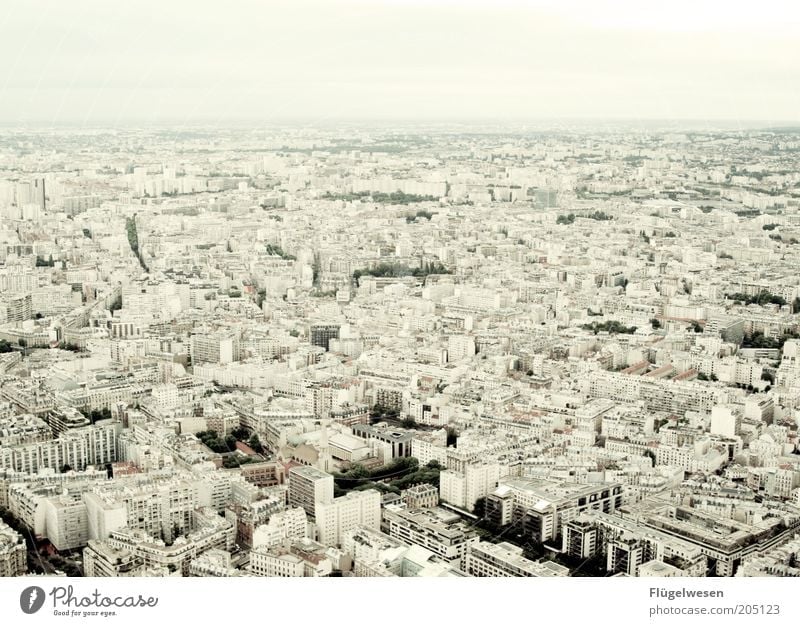 Paris meine Perle Sommer Hauptstadt Stadtzentrum Altstadt überbevölkert Blick Bekanntheit Unendlichkeit Frankreich Aussicht Ausflug Städtereise Farbfoto