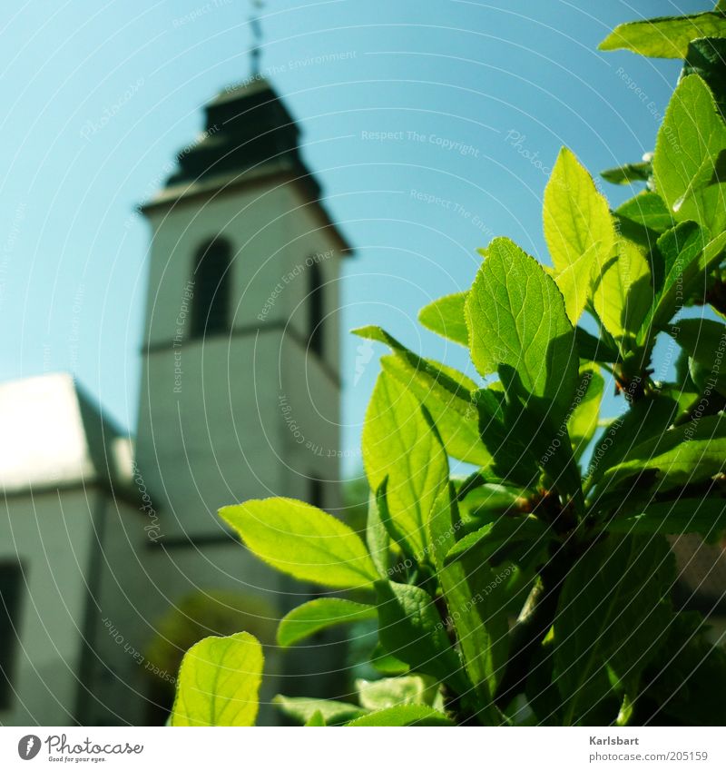 glaube. und hoffnung. ruhig Sommer Umwelt Himmel Frühling Pflanze Sträucher Blatt Kirche Bauwerk Architektur Religion & Glaube Barock Blattgrün grünen