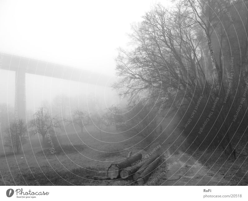 Herbstmorgen in Grau Nebel grau Morgennebel Baum Sträucher Fußweg Berge u. Gebirge Schwarzweißfoto Brücke Viadukt