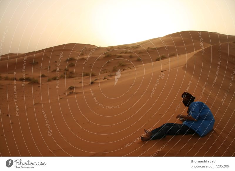 Sahara-Wüste in Marokko Mensch maskulin 1 Umwelt Natur Landschaft Sand Himmel Wolkenloser Himmel Wind Dürre Ferien & Urlaub & Reisen Düne Farbfoto Außenaufnahme