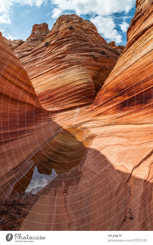 Überreste Umwelt Natur Landschaft Urelemente Wasser Felsen Schlucht Wüste Coyote Buttes Vermilion Cliffs National Monument Utah Arizona USA Amerika Nordamerika