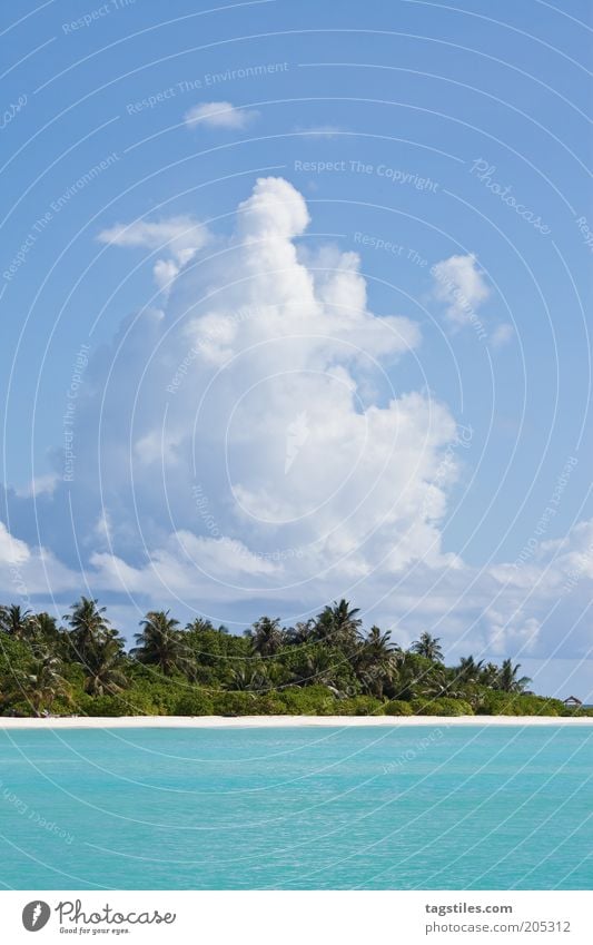 * TRÄUM * Erholung ruhig Ferien & Urlaub & Reisen Tourismus Strand Meer Insel Sand Wolken träumen blau Einsamkeit Idylle Malediven abgelegen Palme türkis