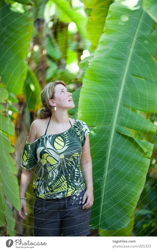 SIZE MATTERS AGAIN Größe groß Banane Stauden Bananenstaude Blatt Frau staunen vergleichen Größenvergleich Blick Farbfoto grün Malediven Pflanze ursprünglich