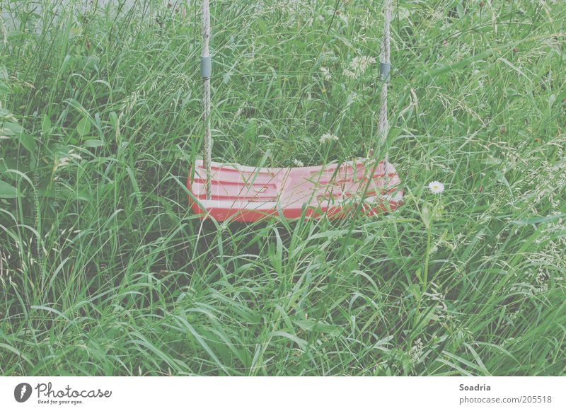 Aus dem Auge, aus dem Sinn. Natur Gras Wiese Schaukel Freizeit & Hobby Umwelt Farbfoto Außenaufnahme Menschenleer Tag Unschärfe Kunststoff
