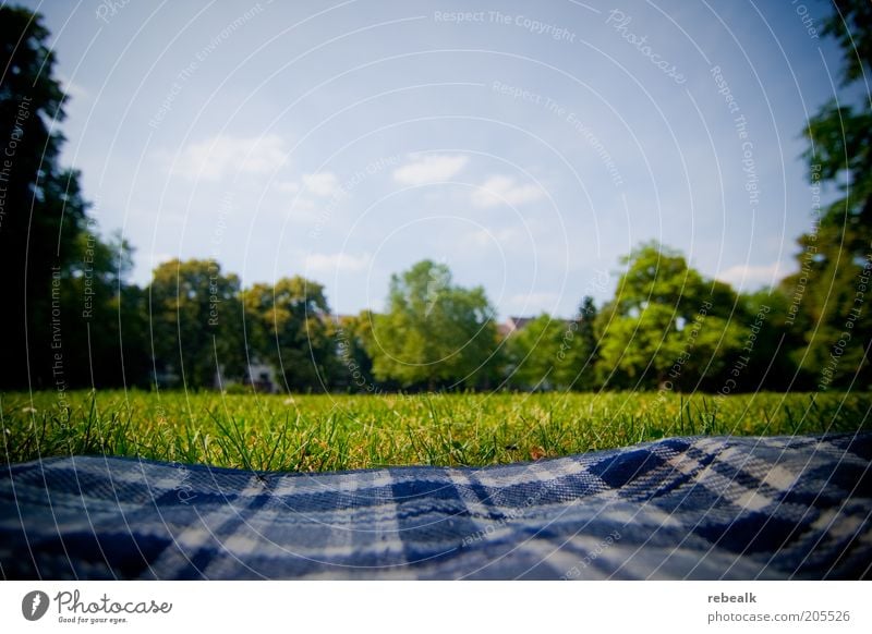 Picknick im Grünen Erholung ruhig Freizeit & Hobby Freiheit Sommerurlaub Garten Natur Himmel Park Wiese liegen grün Zufriedenheit Pause Decke Picknickdecke