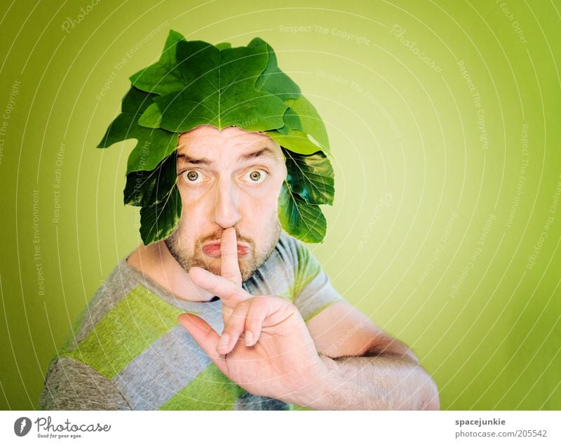 Pssst!....... maskulin Mann Erwachsene Kopf Auge Bart Finger 1 Mensch 30-45 Jahre Pflanze Blatt Grünpflanze grün Perücke ruhig Farbfoto Innenaufnahme