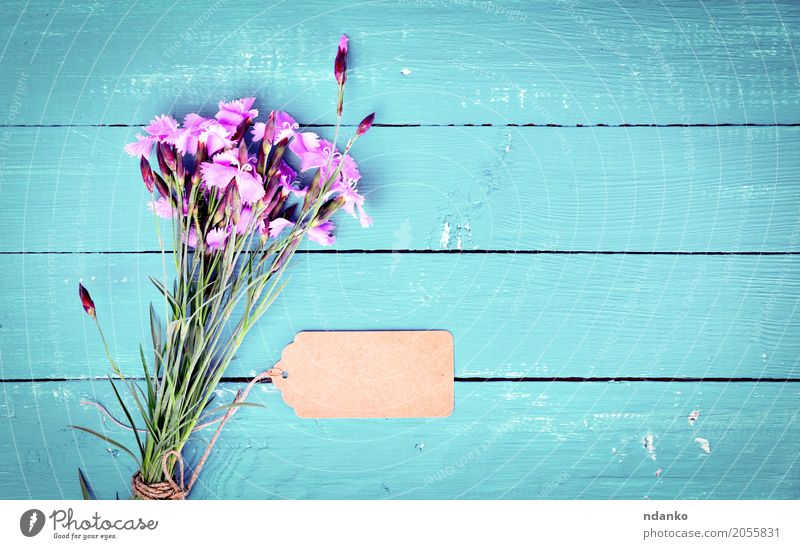Blumenstrauß aus rosa Nelken mit einem Papieranhänger Holz Feste & Feiern hell blau Gartennelke Top Überstrahlung Hintergrund Holzplatte Tag Leerraum