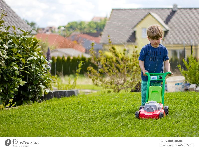sommer 2017 - rasenmähen Häusliches Leben Kindererziehung lernen Arbeit & Erwerbstätigkeit Gartenarbeit Mensch Kleinkind Junge Kindheit 1-3 Jahre Gras Wiese