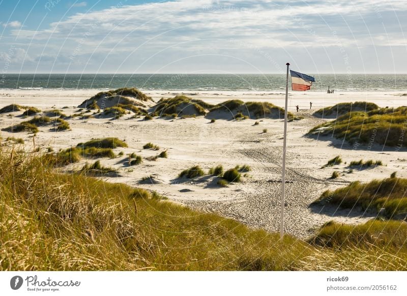Landschaft in den Dünen auf der Insel Amrum Erholung Ferien & Urlaub & Reisen Tourismus Strand Meer Natur Sand Wolken Herbst Küste Nordsee Fahne blau gelb