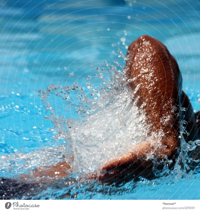 pool-boy Schwimmen & Baden Sommer Fitness Sport-Training Schwimmbad maskulin Mann Erwachsene Arme Hand 1 Mensch Wasser Wassertropfen Schönes Wetter Bewegung