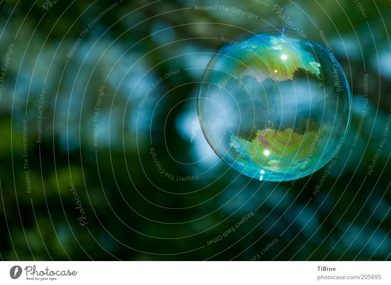 Die Welt in einer Seifenblase blau grün träumen Farbfoto Außenaufnahme Experiment Menschenleer Textfreiraum links Reflexion & Spiegelung Schwache Tiefenschärfe
