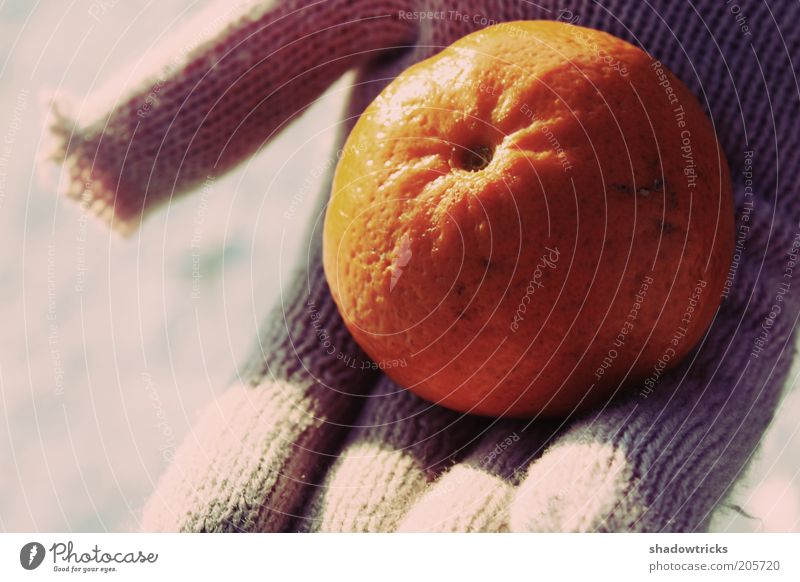 Ohne Titel Lebensmittel Frucht Vegetarische Ernährung Gesundheit genießen Farbfoto Gedeckte Farben Handschuhe stoppen beige Orange Mandarine