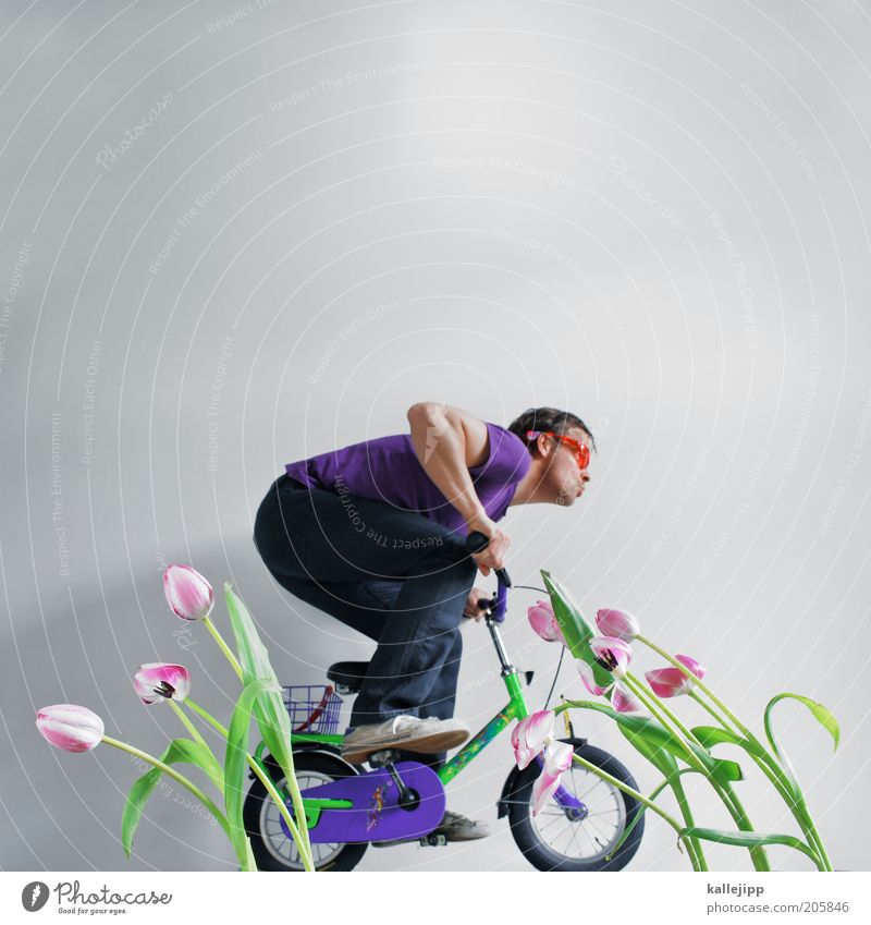 „Oranje boven!“ Lifestyle Freizeit & Hobby Fahrrad Mensch Mann Erwachsene 1 30-45 Jahre Umwelt Natur Landschaft Pflanze Tulpe Accessoire Brille Erholung fahren