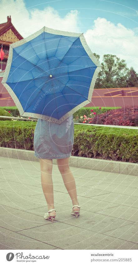 Tou pai feminin Junge Frau Jugendliche Gesäß Beine 1 Mensch 18-30 Jahre Erwachsene Peking China schön Sonnenschirm Verbotene Stadt Schenkel Himmel Sommer