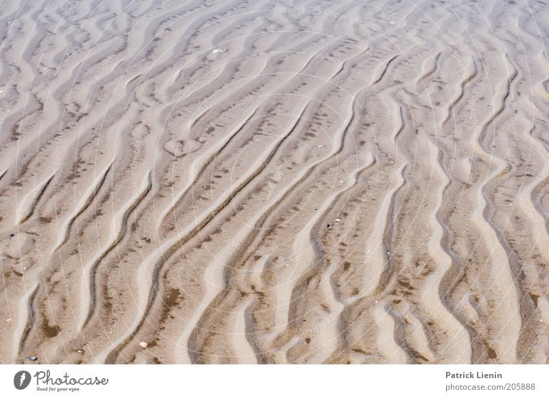 Watt ist das?! Umwelt Natur Landschaft Klima Küste Strand Nordsee Spuren Linie Spiekeroog Nationalpark Naturschutzgebiet Umweltschutz Vorsicht nass Wasser
