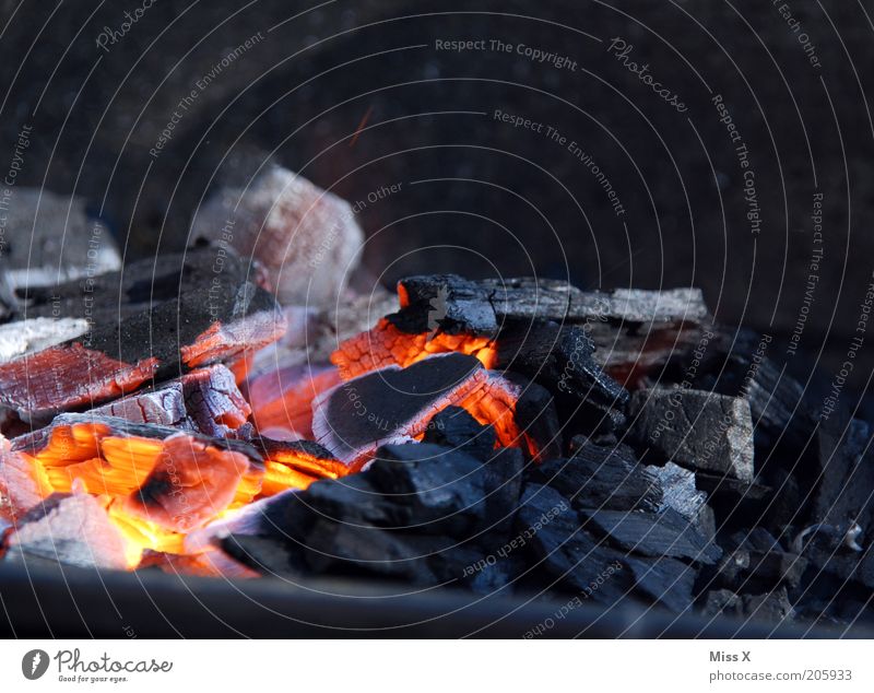 wieder heiss... heiß Grillen Grillkohle Wärme Feuer glühend Farbfoto Nahaufnahme Menschenleer Schwache Tiefenschärfe Holzkohle Kohle brennen heizen aktivieren
