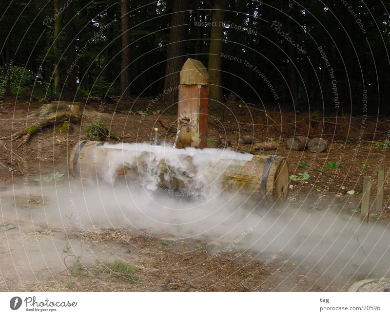 cooler Brunnen Nebel Stimmung Holz obskur Trockeneis