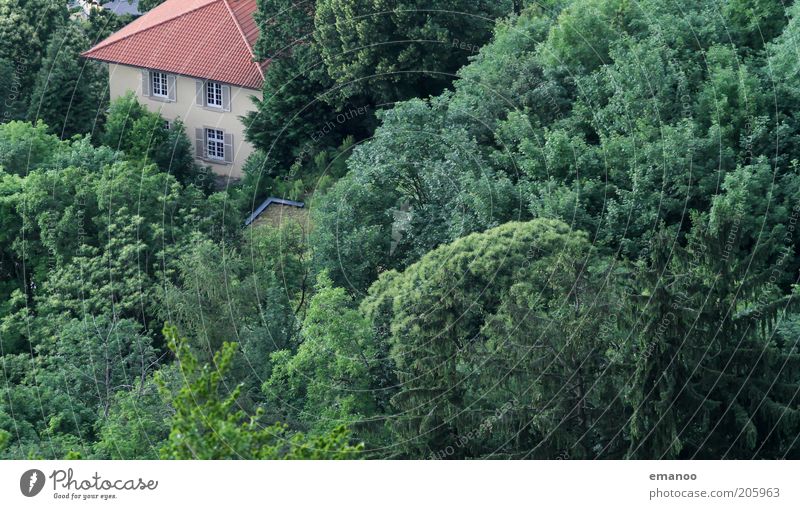 treecastle Ferien & Urlaub & Reisen Ausflug Sommer Umwelt Natur Landschaft Baum Wald Freiburg im Breisgau Stadtrand Haus Einfamilienhaus Bauwerk Gebäude Fenster