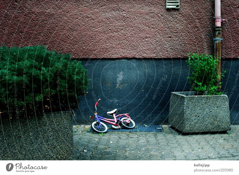 spielpause Fahrrad Pflanze Sträucher Mauer Wand leer Zeit Farbfoto Außenaufnahme Menschenleer Kontrast Kindheit Blumenkasten Kinderfahrrad verloren vergessen