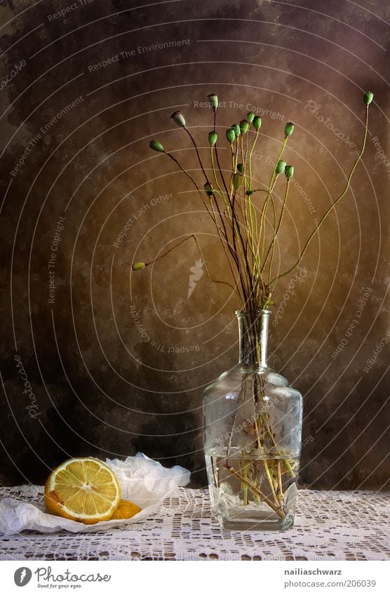 Stillleben Lebensmittel Zitrone Zitrusfrüchte Wohnung Dekoration & Verzierung Vase Kunst Kunstwerk Pflanze Blume Mohnkapsel Mohnblüte Stein Glas Wasser