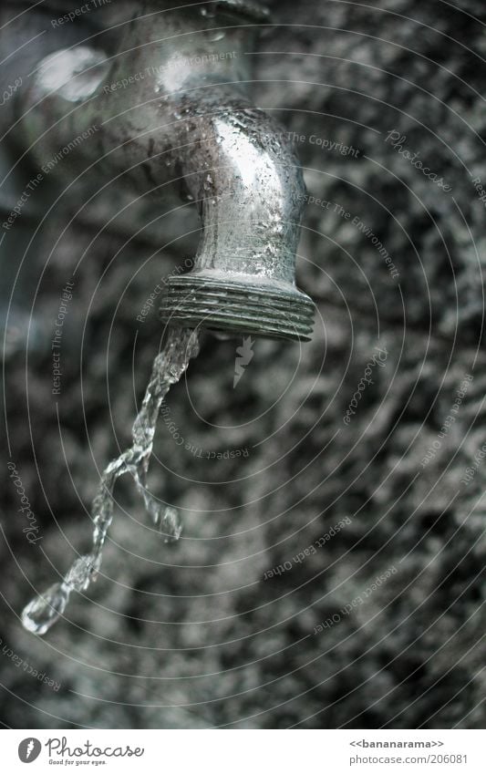 Ein Wasserhahn halt Trinkwasser Durst Wassertropfen Wasserrohr fließen kalt Metall Stein Steinwand Quelle gießen nass tropfend Tropfen Erfrischung aufdrehen