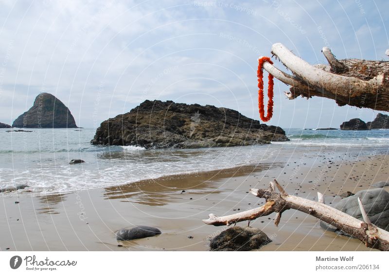 Oregon Coast Ferien & Urlaub & Reisen Ausflug Freiheit Sommer Strand Meer Natur Küste Pazifik USA Nordamerika Ferne Holz Baumstamm Baumstumpf Halskette rot