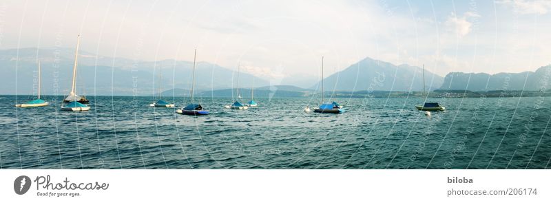 Thunersee Ferien & Urlaub & Reisen Freiheit Sommer Wellen Berge u. Gebirge Natur Landschaft Segelboot Segelschiff Wasserfahrzeug entdecken Erholung blau grün
