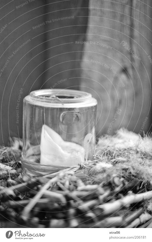 kerze Dekoration & Verzierung Kerze Holz Glas Stimmung Schwarzweißfoto Außenaufnahme Textfreiraum oben Glaskolben Brandschutz