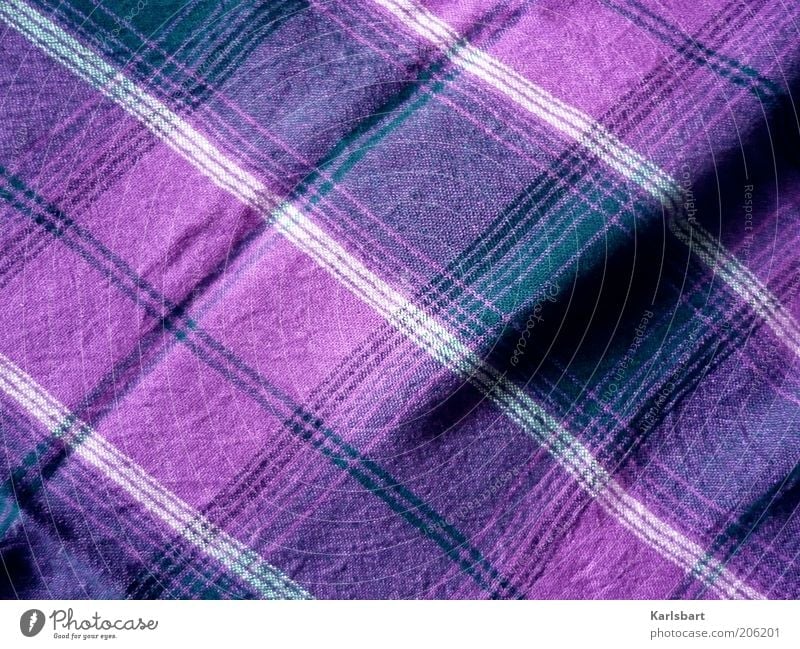 tuch. und falte. Stil Mode Bekleidung Stoff Linie Streifen Strukturen & Formen kariert violett Farbfoto mehrfarbig Innenaufnahme Nahaufnahme Detailaufnahme