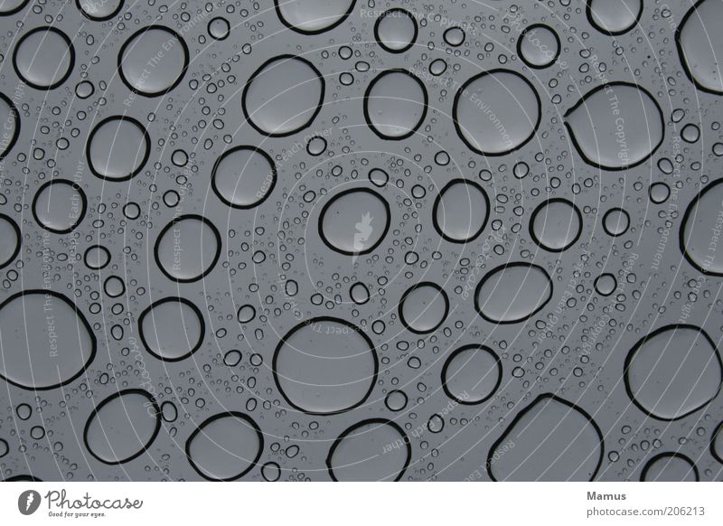 Teardrops Urelemente Wasser Wassertropfen Regen Glas Tropfen ästhetisch einfach Flüssigkeit nah nass schön grau schwarz Scheibe Farbfoto Schwarzweißfoto