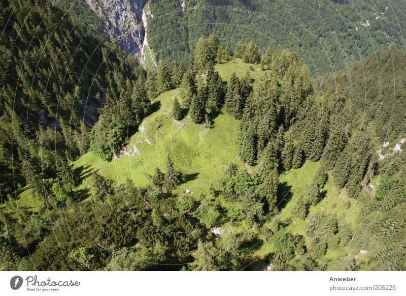 Höhenangst? Umwelt Natur Landschaft Pflanze Erde Sommer Schönes Wetter Baum Wald Alpen Berge u. Gebirge Zugspitze Wetterstein höllental Schlucht Bayern