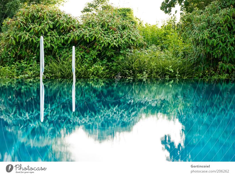Oberflächenspannung Sommer Sommerurlaub Himmel blau grün Schwimmbad Freibad Leiter Sträucher Wasseroberfläche Glätte ruhig türkis Spiegelbild Farbfoto