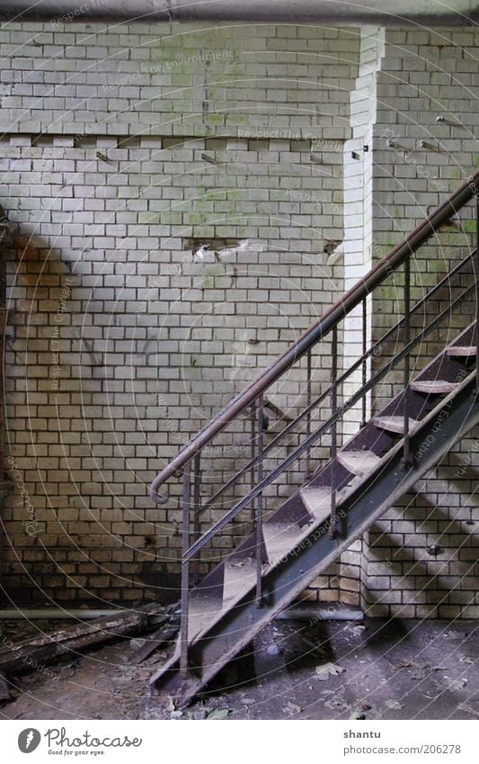 Treppe in einem alten Kellergeschoss Fabrik Industrie Mauer Wand bauen Farbfoto Innenaufnahme Menschenleer Textfreiraum links Textfreiraum oben Tag