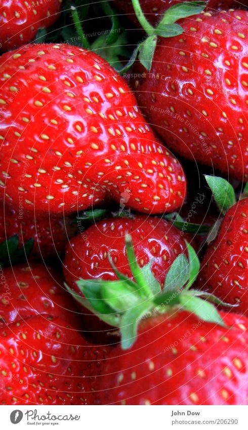 Fruchtala-a-a-a-a-a-a-a-rm Lebensmittel Ernährung Pflanze lecker saftig süß rot Gesundheit fruchtig Erdbeeren Komplementärfarbe verführerisch Detailaufnahme