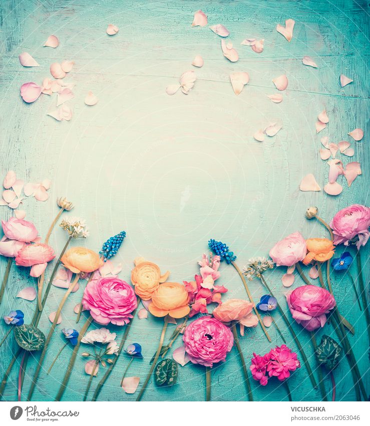 Blauer Hintergrund mit Blumen und Blütenblätter Lifestyle Stil Design Sommer Dekoration & Verzierung Valentinstag Muttertag Hochzeit Geburtstag Natur Pflanze