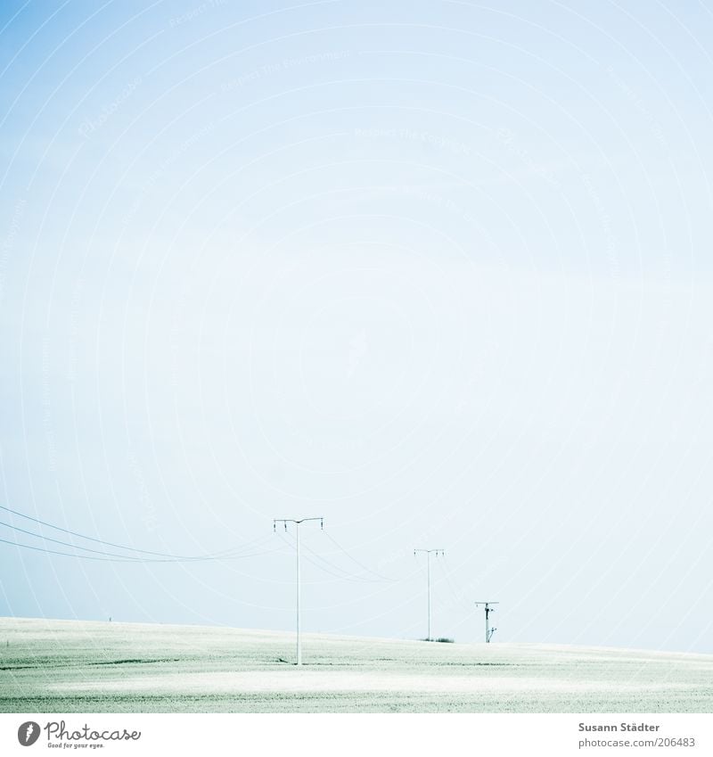 Grünstreifen mit Jalahimmel Kabel Technik & Technologie Energiekrise Industrie Wolkenloser Himmel Schönes Wetter Wiese Feld hell beweglich Strommast Ackerbau