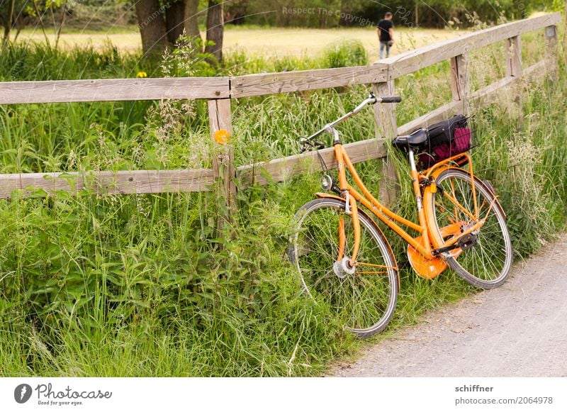 Zurückgelassen 1 Mensch Umwelt Natur Landschaft Pflanze Sommer Baum Gras Sträucher Wiese Feld Wald Fahrrad orange Ausflug Rad Fahrradfahren Pause anlehnen