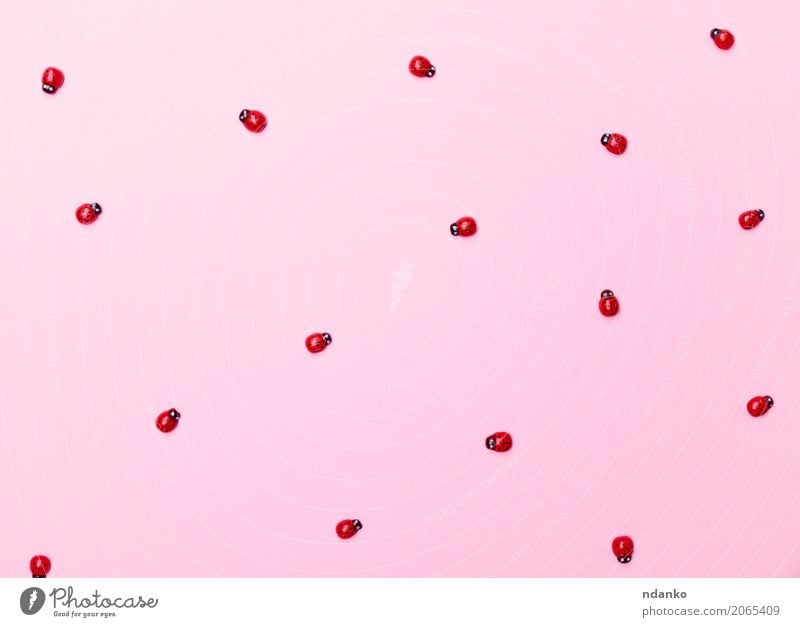 dekorative hölzerne Marienkäfer Dekoration & Verzierung Spielzeug Holz hell klein rosa rot Hintergrund Insekt viele Frühling Farbfoto abstrakt Menschenleer