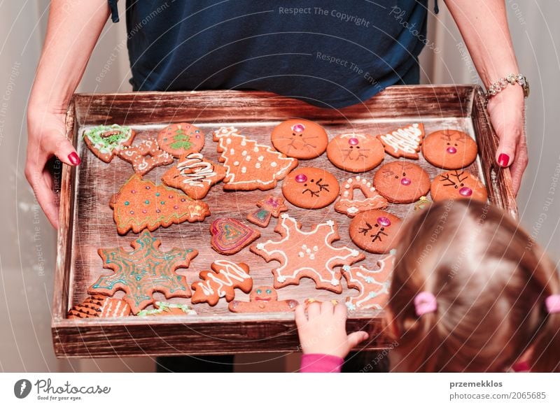 Das kleine Mädchen, das Behälter betrachtet, füllte mit Weihnachtsplätzchen Dekoration & Verzierung Tisch Küche Feste & Feiern Kind Handwerk Mensch Frau