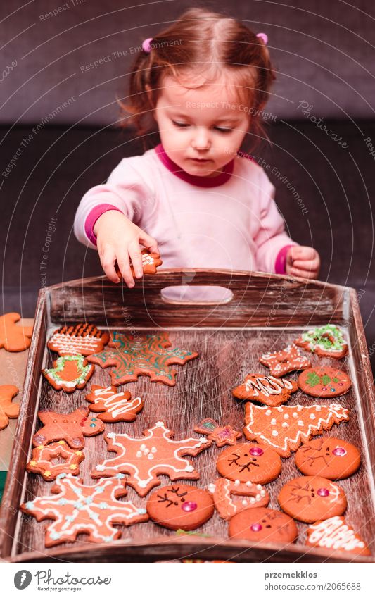 Kleines Mädchen, das Weihnachtslebkuchen auf hölzernen Behälter setzt Dekoration & Verzierung Tisch Feste & Feiern Kind Mensch Kleinkind 1 1-3 Jahre Schnur